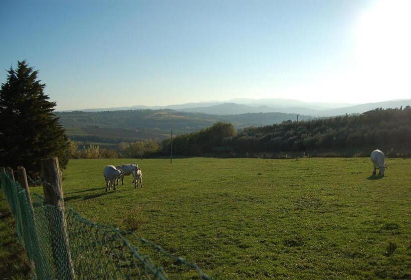 בית מלון כפרי Agriturismo Casale Dei Frontini
