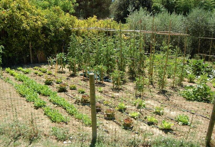 בית מלון כפרי Agriturismo Casale Dei Frontini