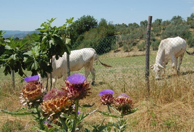 בית מלון כפרי Agriturismo Casale Dei Frontini