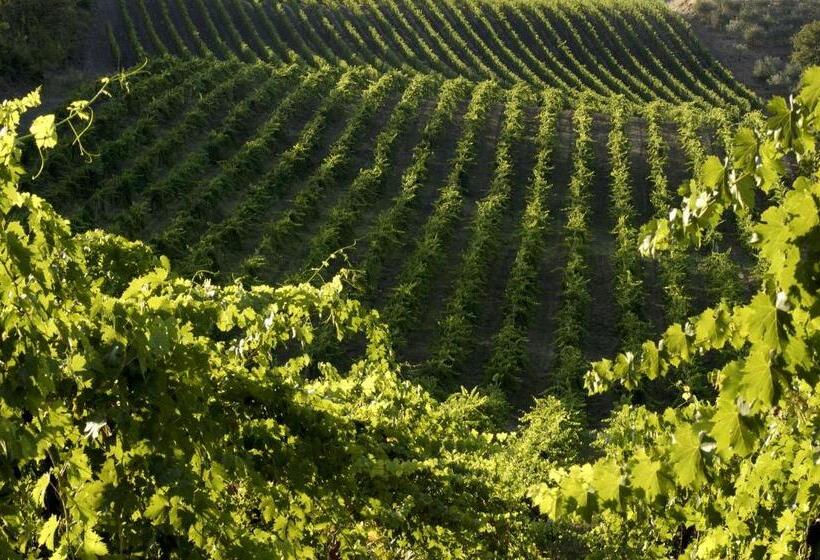 בית מלון כפרי Agriturismo Castello Di Querceto