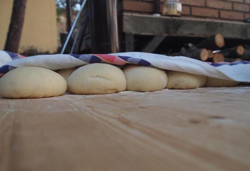 בית מלון כפרי Agriturismo La Terra