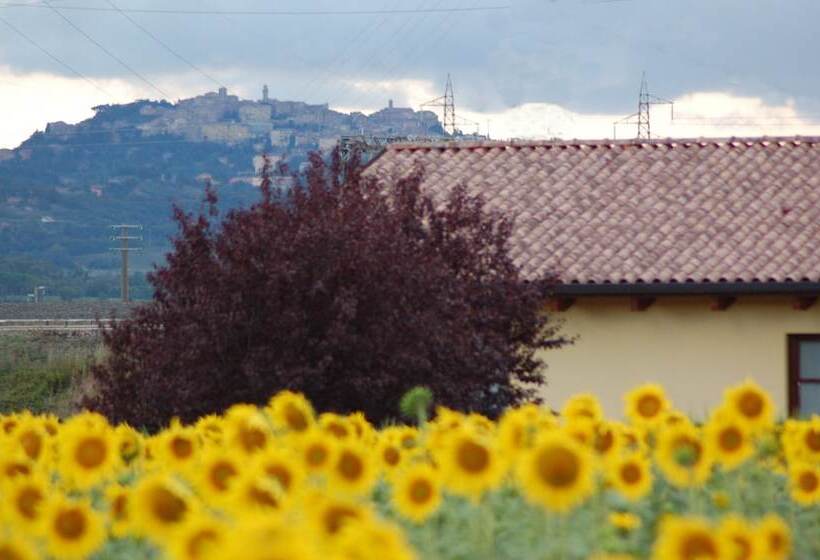 בית מלון כפרי Agriturismo Le Rondinelle