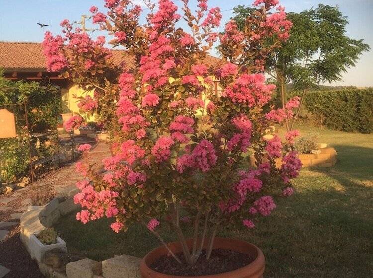 בית מלון כפרי Agriturismo Le Rondinelle