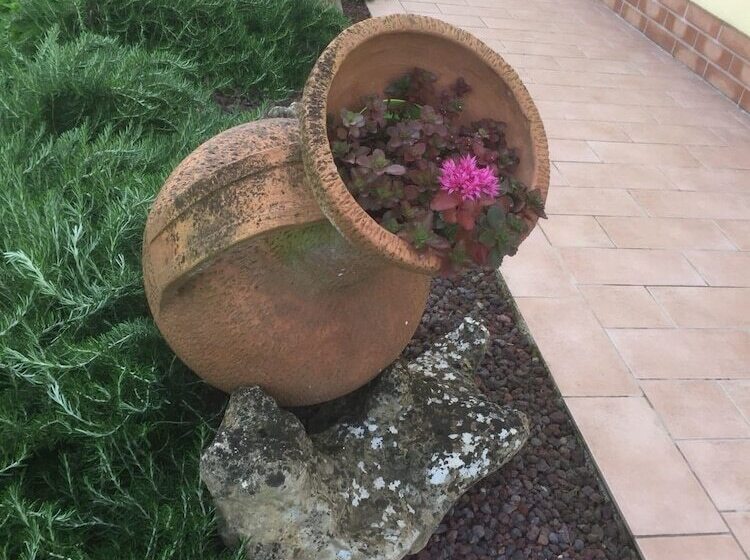 בית מלון כפרי Agriturismo Le Rondinelle