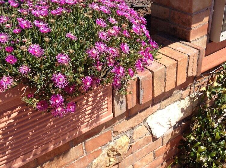 בית מלון כפרי Agriturismo Le Rondinelle