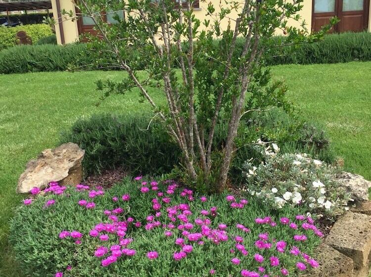 בית מלון כפרי Agriturismo Le Rondinelle