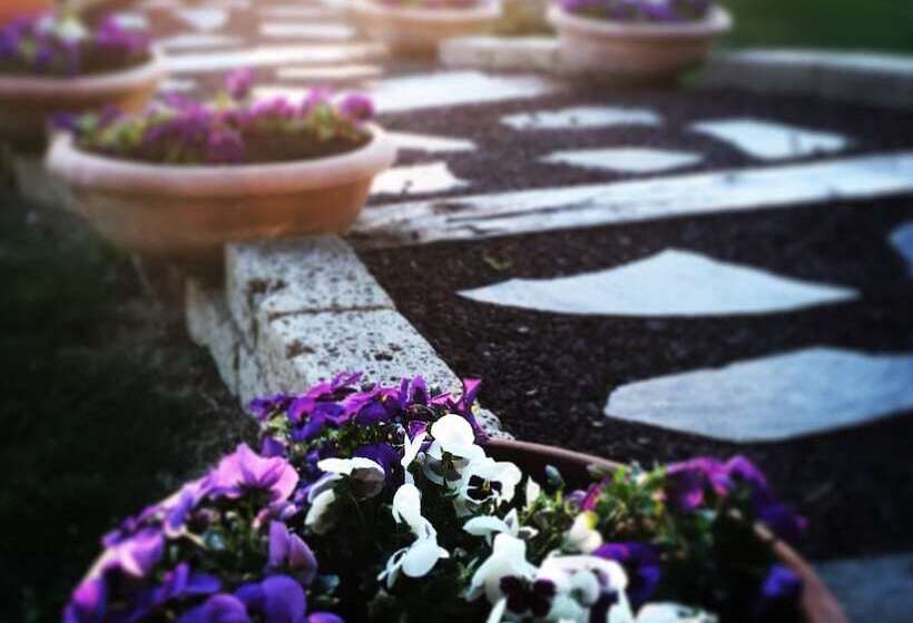 בית מלון כפרי Agriturismo Le Rondinelle