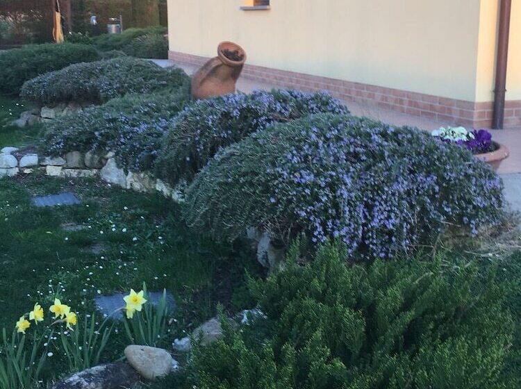 בית מלון כפרי Agriturismo Le Rondinelle