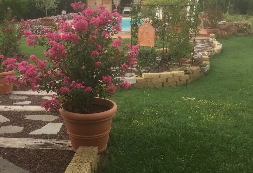 בית מלון כפרי Agriturismo Le Rondinelle