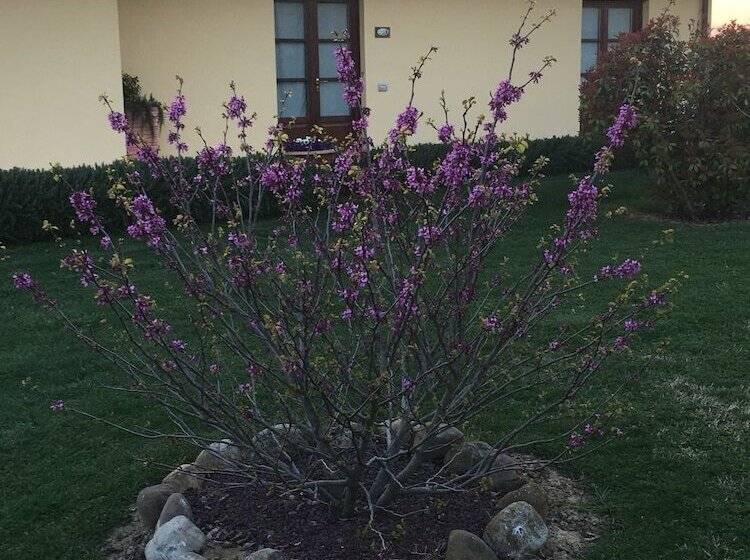 בית מלון כפרי Agriturismo Le Rondinelle