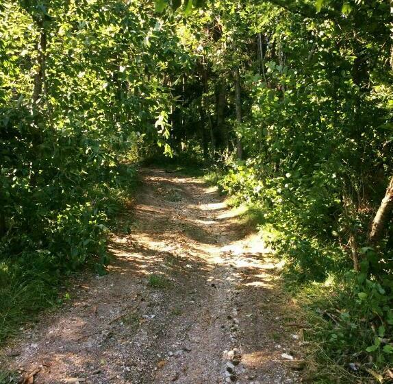 בית מלון כפרי Agriturismo Maso Tafol