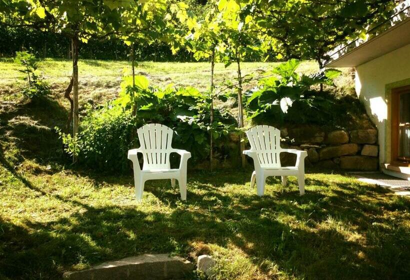 בית מלון כפרי Agriturismo Maso Tafol