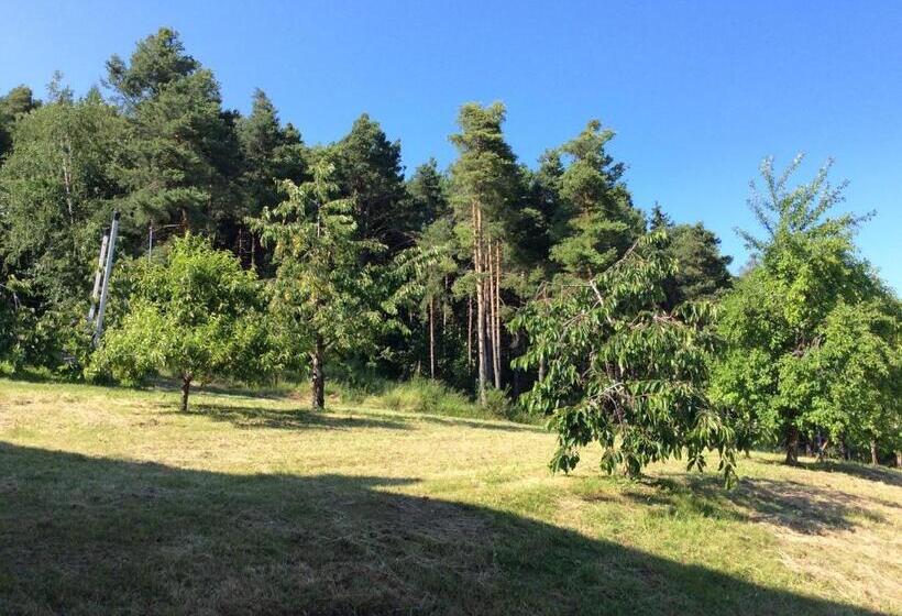 בית מלון כפרי Agriturismo Maso Tafol