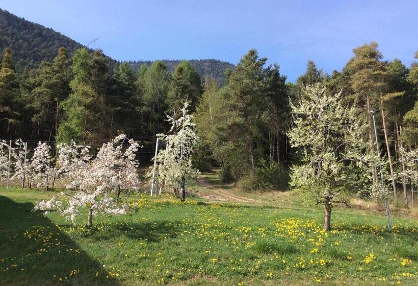 فندق Agriturismo Maso Tafol