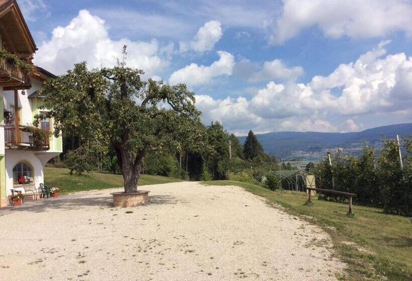 בית מלון כפרי Agriturismo Maso Tafol