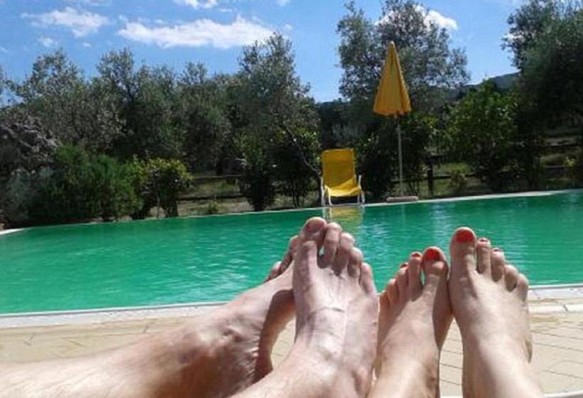 ホテル Agriturismo Signorini