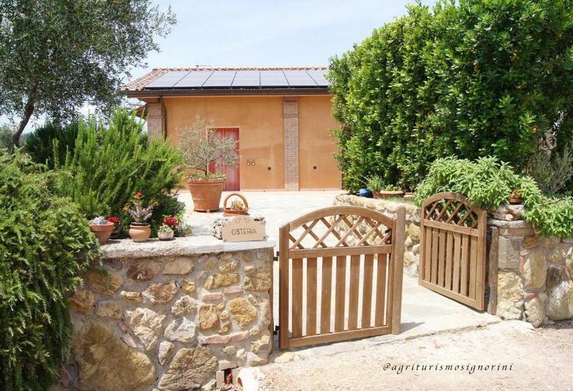 ホテル Agriturismo Signorini