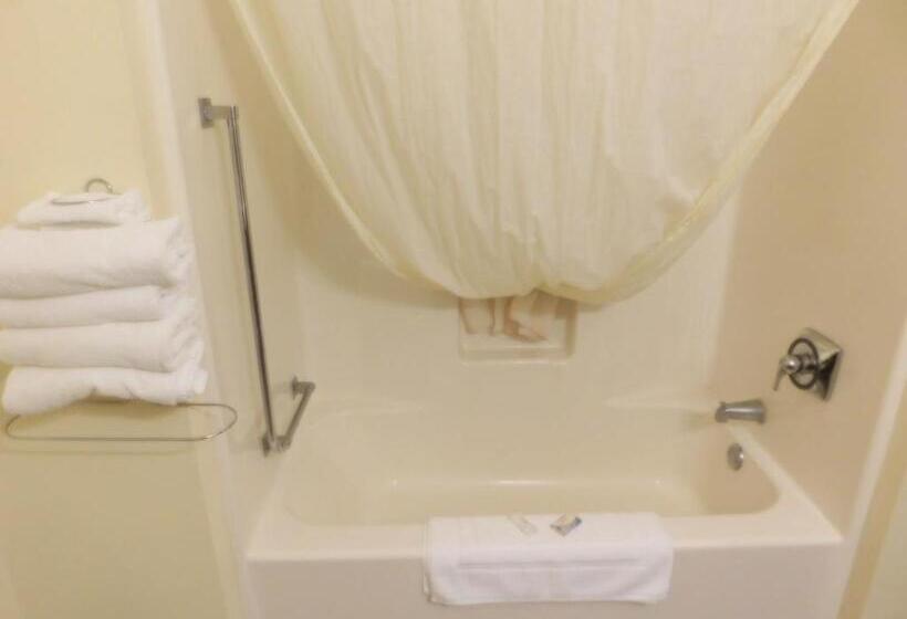 فندق Amerivu Inn