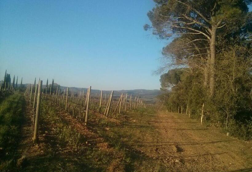 Отель Argiano Dimore Wine Relais