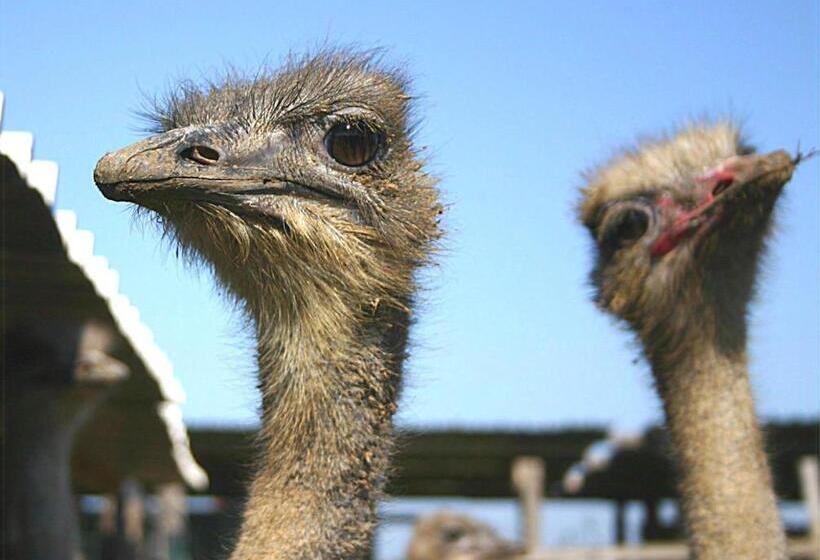 בית מלון כפרי B&b Corte Degli Struzzi