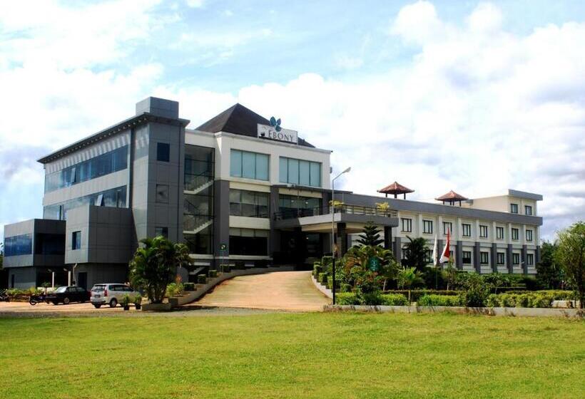 Отель Ebony Batulicin