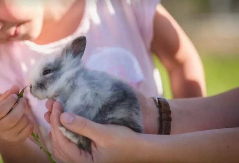 Familienhotel Hochrieß