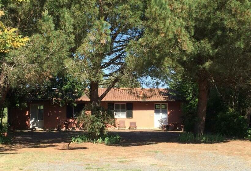 فندق Fattoria Di Collemezzano