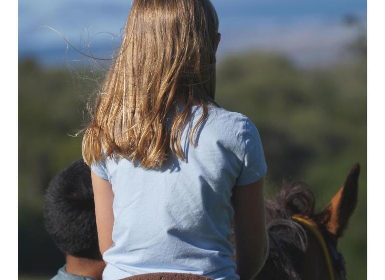 فندق Granja El Aromo