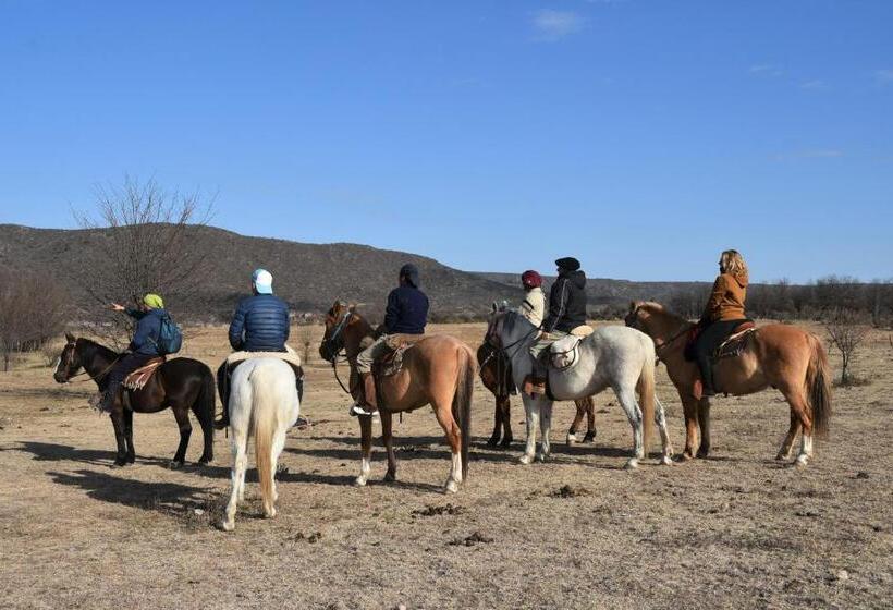 فندق Granja El Aromo