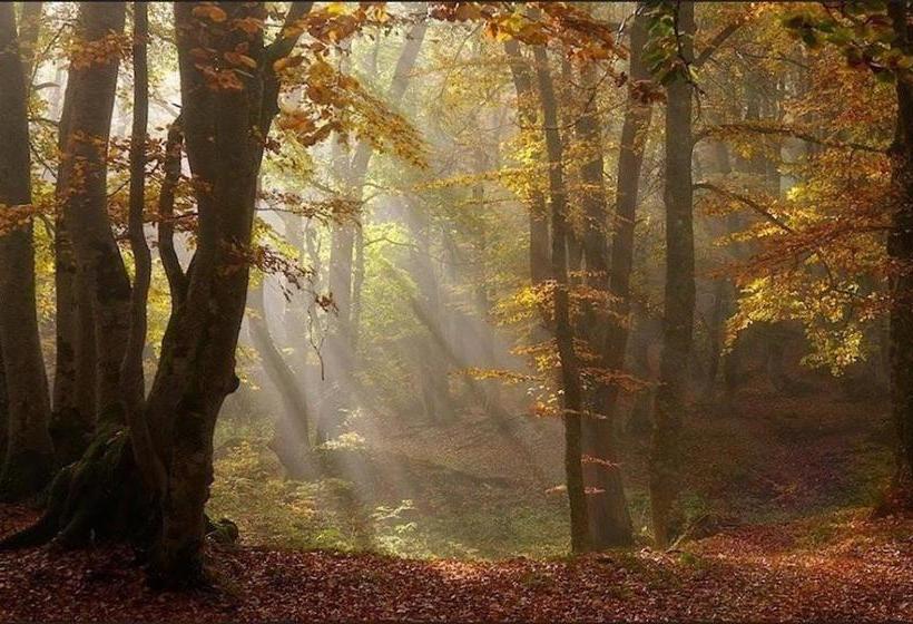 ホテル Green Park Monastero