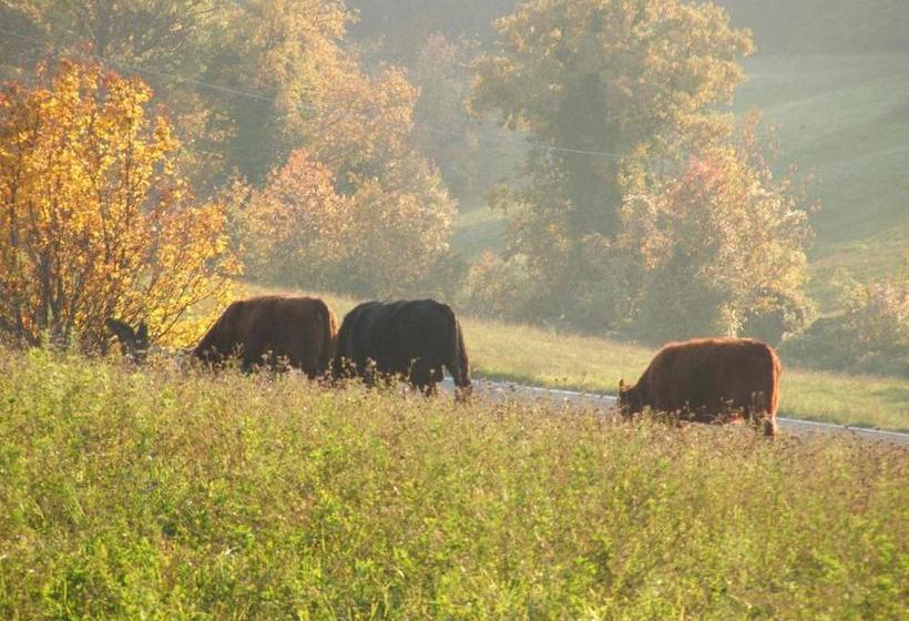 ホテル Green Park Monastero