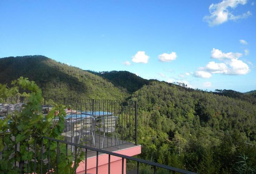 בית מלון כפרי I Gelsi E I Castagni