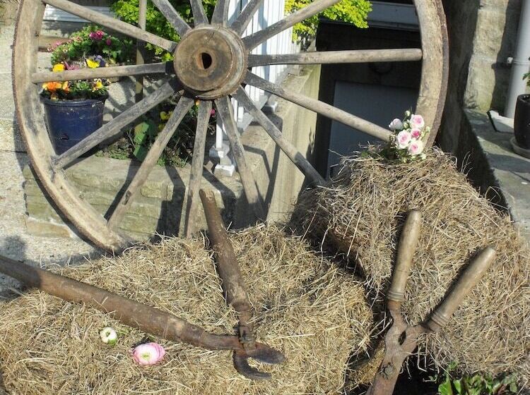 בית מלון כפרי La Roche Du Marais