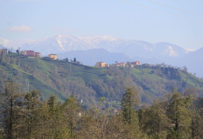 בית מלון כפרי Mori Sport