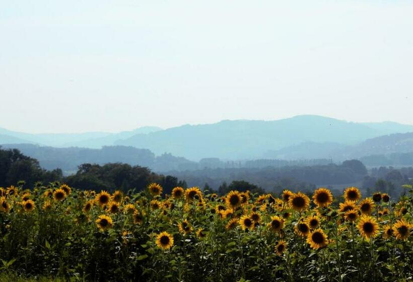 בית מלון כפרי Mostlandhof