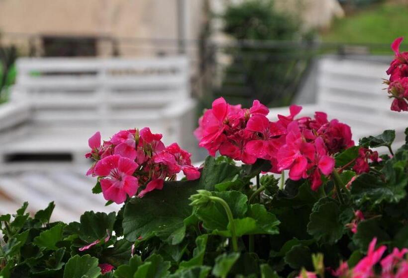 فندق Nonsolomele