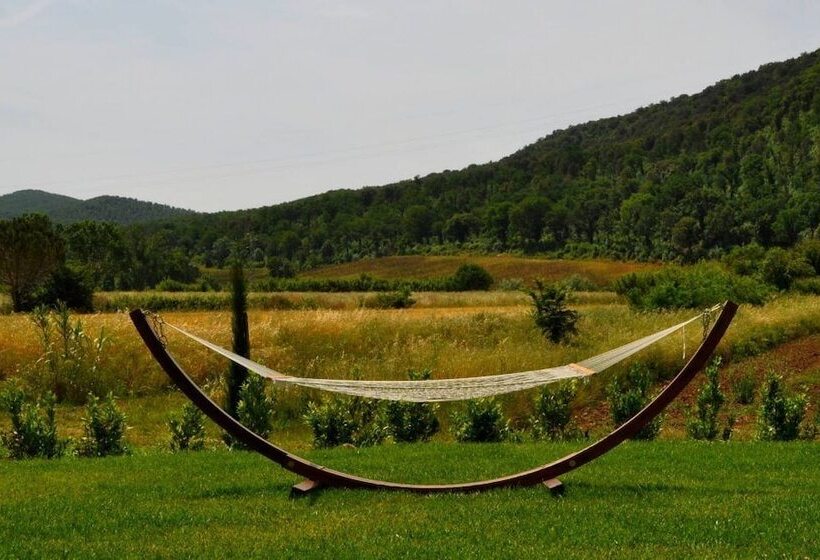 فندق Podere L Olmaia