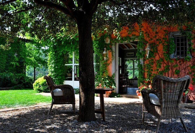 בית מלון כפרי Podere L Olmaia