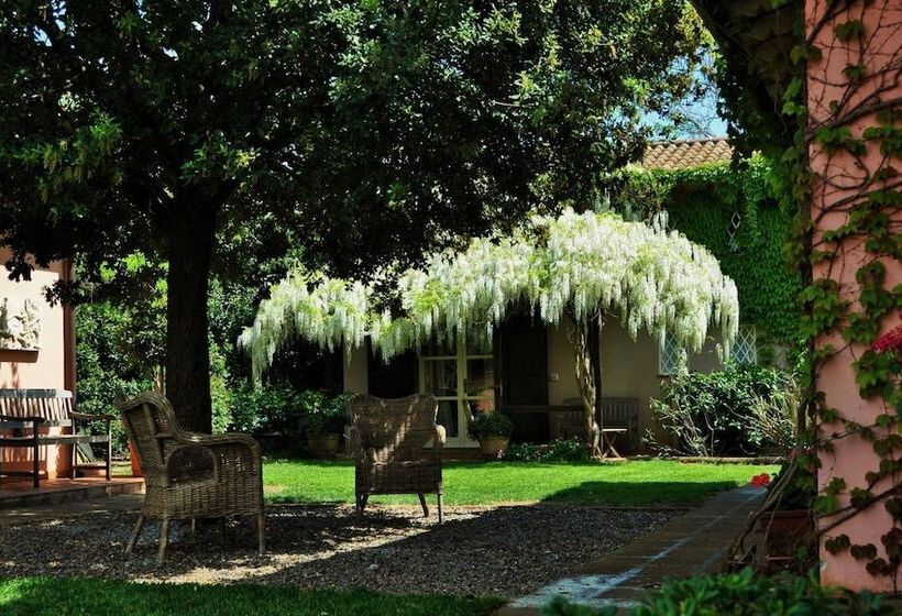 فندق Podere L Olmaia