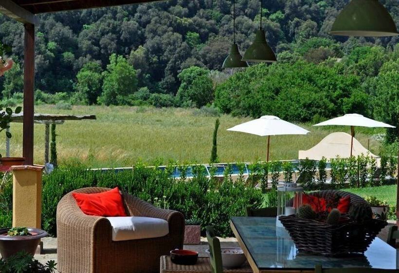 בית מלון כפרי Podere L Olmaia