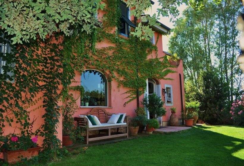 בית מלון כפרי Podere L Olmaia