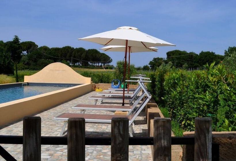 בית מלון כפרי Podere L Olmaia