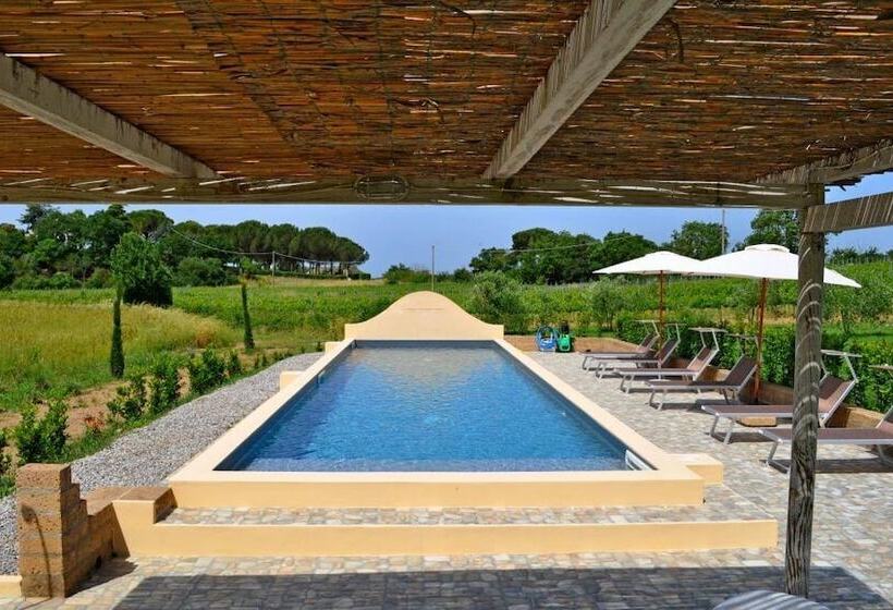 בית מלון כפרי Podere L Olmaia