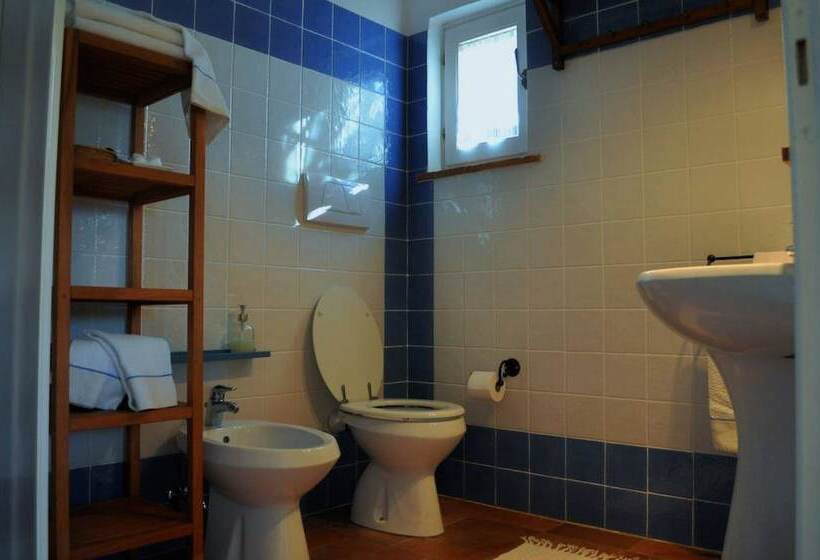 בית מלון כפרי Podere L Olmaia