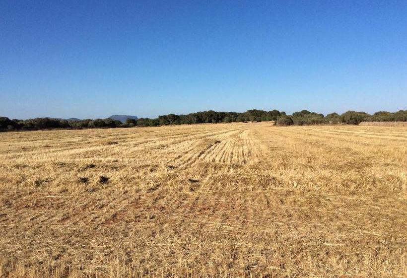 فندق Sa Bassa Crua Agroturismo