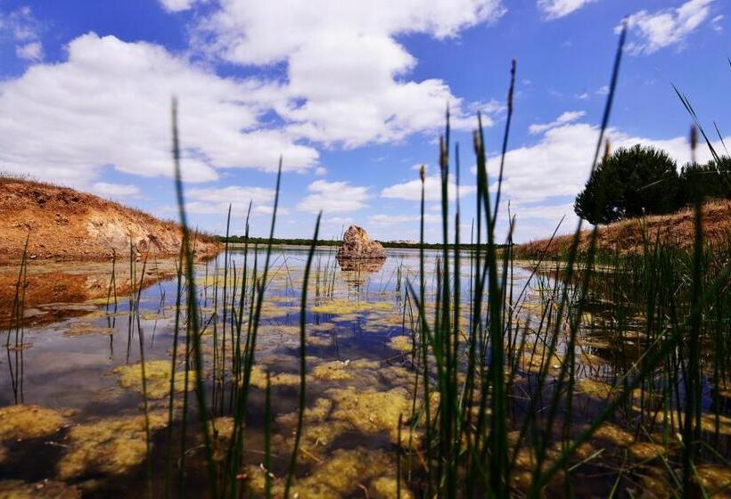 Отель Sesmarias Turismo Rural & Spa