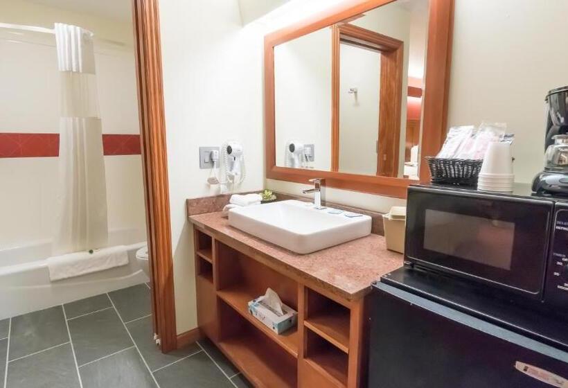 فندق Shepherd Mountain Inn & Suites