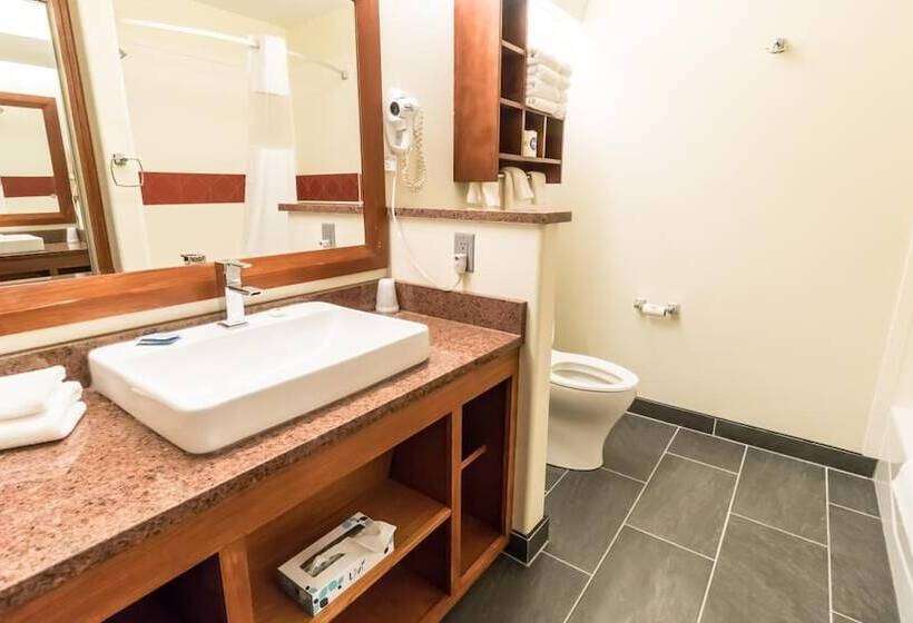 호텔 Shepherd Mountain Inn & Suites