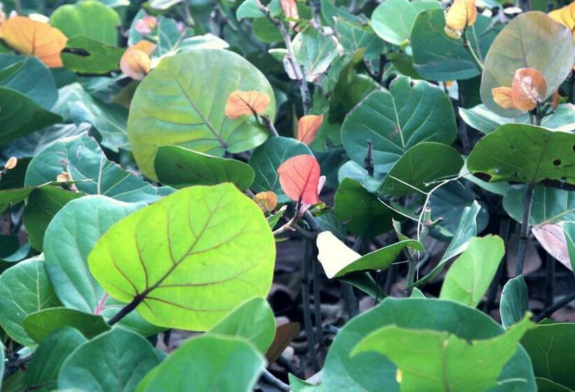 호텔 Tayrona Tented Lodge