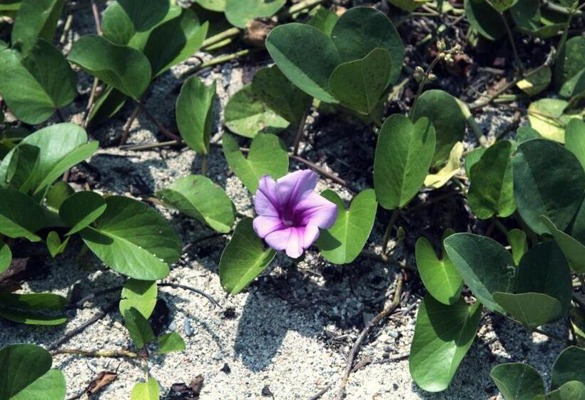 호텔 Tayrona Tented Lodge